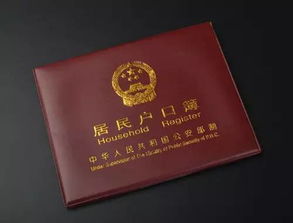 备好身份证，出行新规定 从家门到全国各地，一证通行时代来临